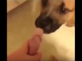 PornMemes 18+ Секс, порно, геи, молодые, милф, анал, двойное и тройное проникновение, инцест, зрелые, би, лесби, MILF, БДСМ