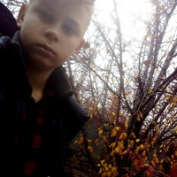 Макс Сазонов |