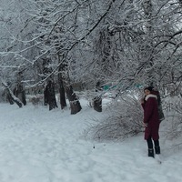 Даша Шарова | New York City