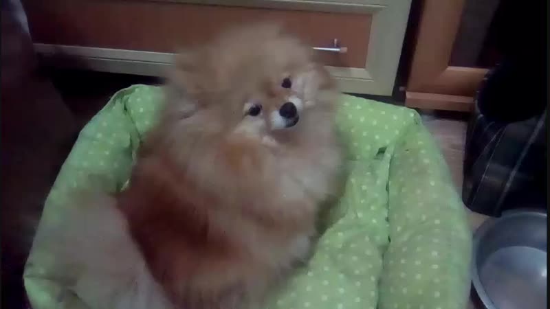 VID_20190121_183946.3gp