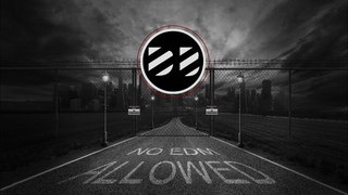 Rene LaVice & Lynx - Poke The Bear