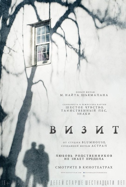 Визит (2015) 