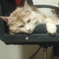 Олег Самуйлов | Удомля