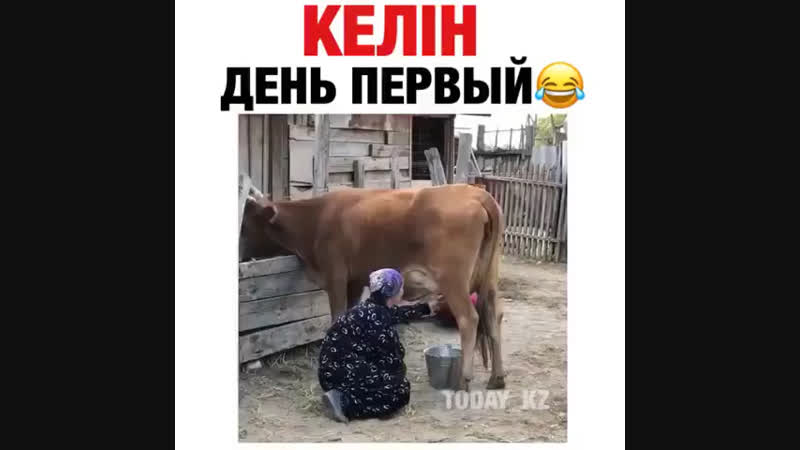 Жаным байқұсай 🙈😂