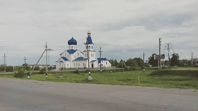 Калина ульяновская обл