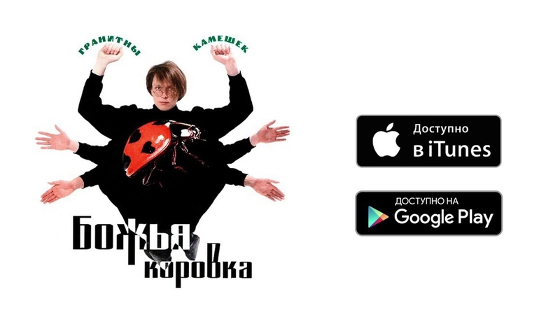 Божья коровка - А у нас, в Америке