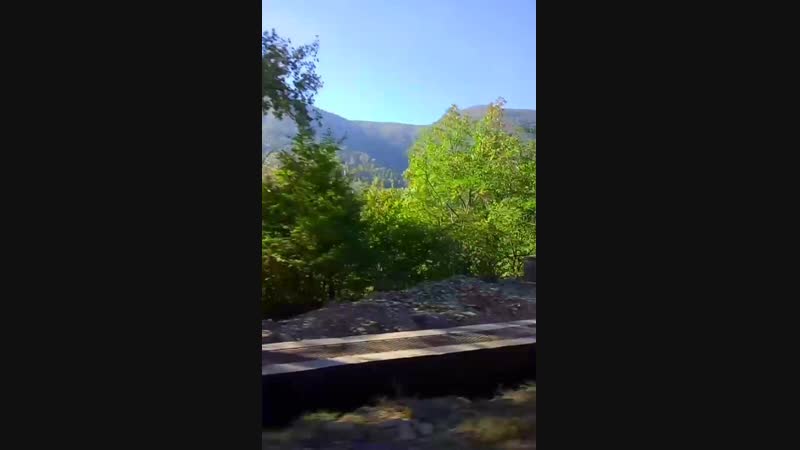 VID_24081222_132716_883.mp4