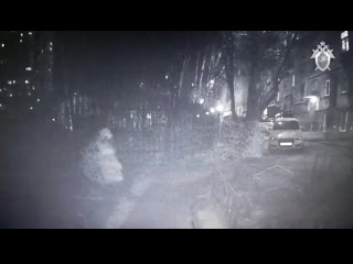 Убийство женщины в Москве попало на видео