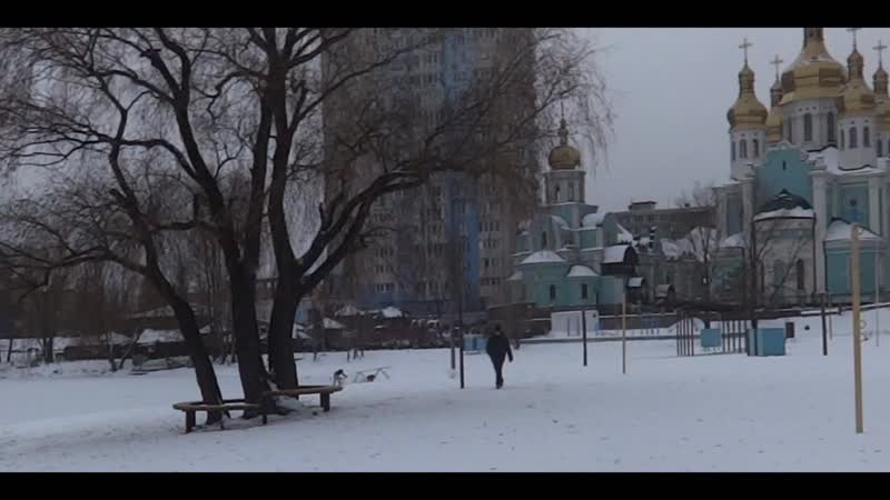 Качественный Контент (жыв)