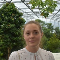 Вера Лапина