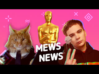 Mews News. Кот-почтальон, Гнойный и российский TikTok