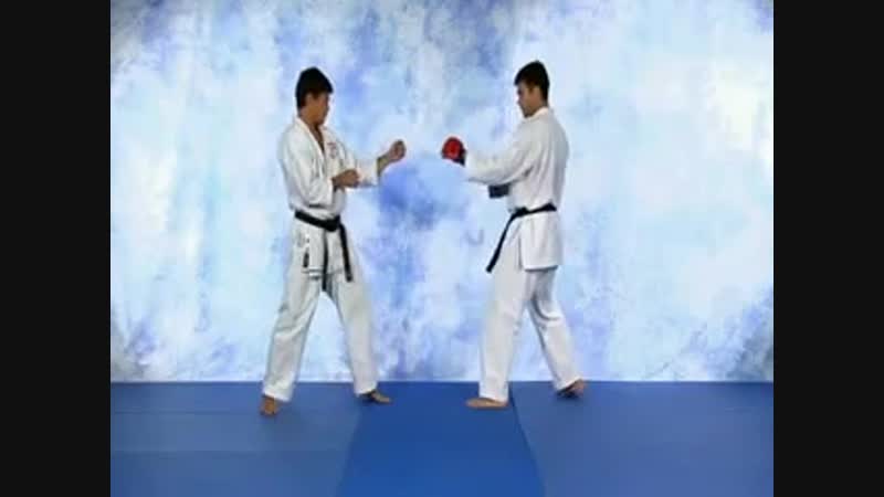 Machida Karate for MMA Volume 1