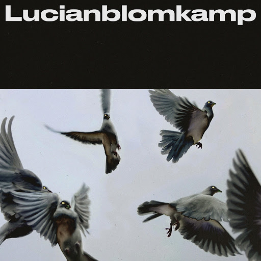 LucianBlomkamp альбом We.