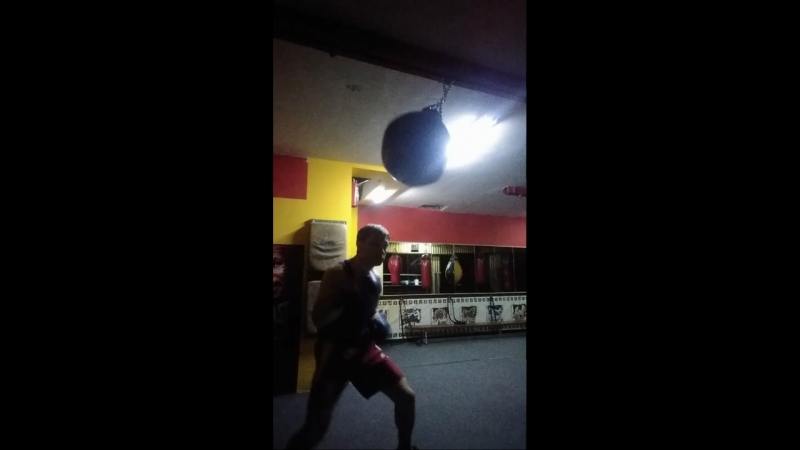 Box Serj L