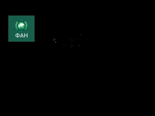 ФАН публикует видео перехвата ракет сирийскими системами ПВО под Латакией