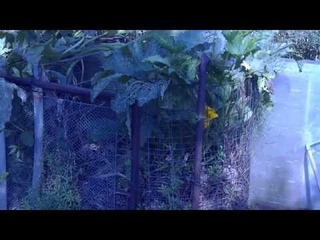 Компостная куча своими руками. Как сделать компост и ящик для компоста, перегной приготовление