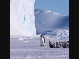 Детский сад на прогулке