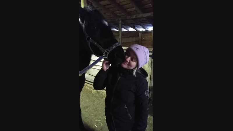 VID_20190119_160614.mp4