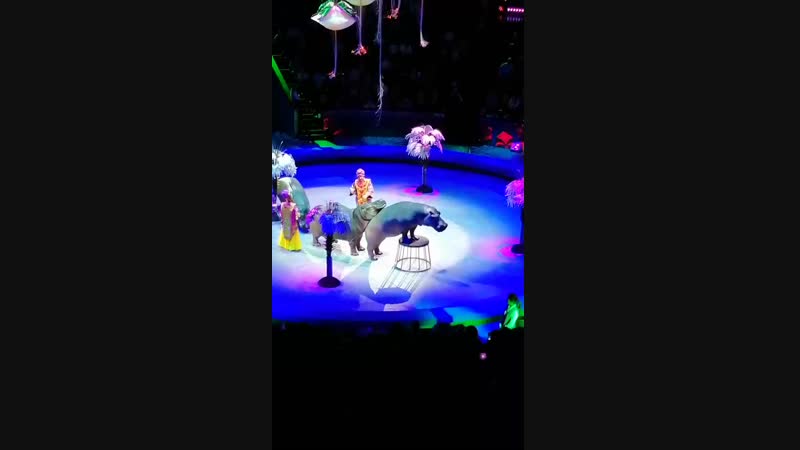 VID_20181227_171204.mp4
