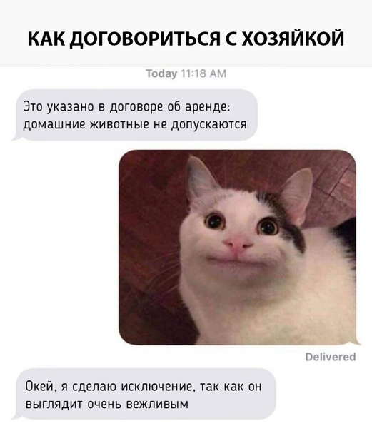 угарные фоточки