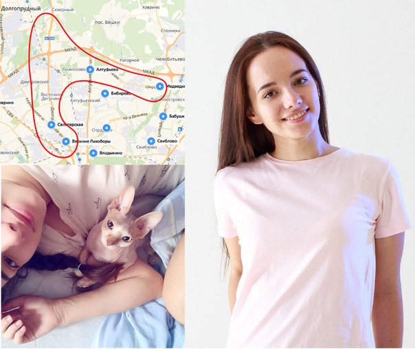 Сниму комнату в Москве<br><br>Кто: Культурная, спокойная девушка 23 года, не курю, не пью, не ем мясо, уважаю личное пространство свое и других. Дружелюбная, понимающая и открытая. Работаю в IT сфере, дизайнер/иллюстратор. У меня есть кот ласковый и воспитанный, мебель не дерет, кот лысый так что проблем с линькой и шерстью повсюду не будет. Готова оставить залог в знак гарантии целостности мебели.<br><br>Локация: Северный район, Дмитровский район, Дмитровское шоссе, м. Селигерская, м. Алтуфьево, м. Медведково. <br><br>Цена: до 16 тыс. с коммунальными включительно. Без комиссий<br><br>Когда: заселиться нужно в начале ноября, кота перевезу чуть позже, в декабре. <br><br>Пожелания: без советской мебели, без ковров на стенах, не курящие соседи (по крайней мере не в квартире), газовая плита. - фото Фото: Сниму комнату в Москве<br><br>Кто: Культурная, спокойная девушка 23 года, не курю, не пью, не ем мясо, уважаю личное пространство свое и других. Дружелюбная, понимающая и открытая. Работаю в IT сфере, дизайнер/иллюстратор. У меня есть кот ласковый и воспитанный, мебель не дерет, кот лысый так что проблем с линькой и шерстью повсюду не будет. Готова оставить залог в знак гарантии целостности мебели.<br><br>Локация: Северный район, Дмитровский район, Дмитровское шоссе, м. Селигерская, м. Алтуфьево, м. Медведково. <br><br>Цена: до 16 тыс. с коммунальными включительно. Без комиссий<br><br>Когда: заселиться нужно в начале ноября, кота перевезу чуть позже, в декабре. <br><br>Пожелания: без советской мебели, без ковров на стенах, не курящие соседи (по крайней мере не в квартире), газовая плита.