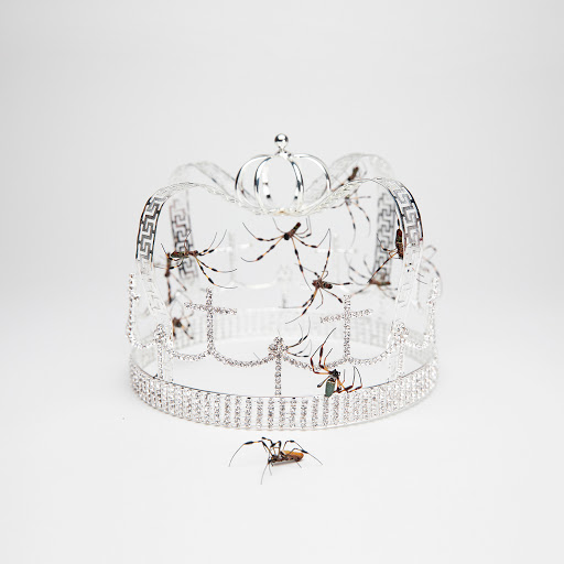 Альбом Billie Eilish you should see me in a crown