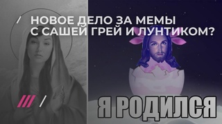СК проверяет блогера за мемы ВКонтакте с Сашей Грей и Лунтиком