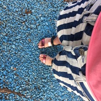 София Циник