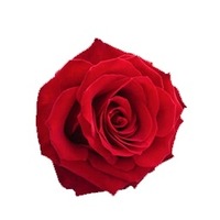 Яна Кузнецова | Шелехов