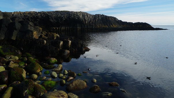 На мысе Kalfshamarvik. Регион nordurland-vestra, Iceland.