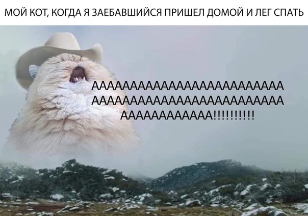 угарные фоточки