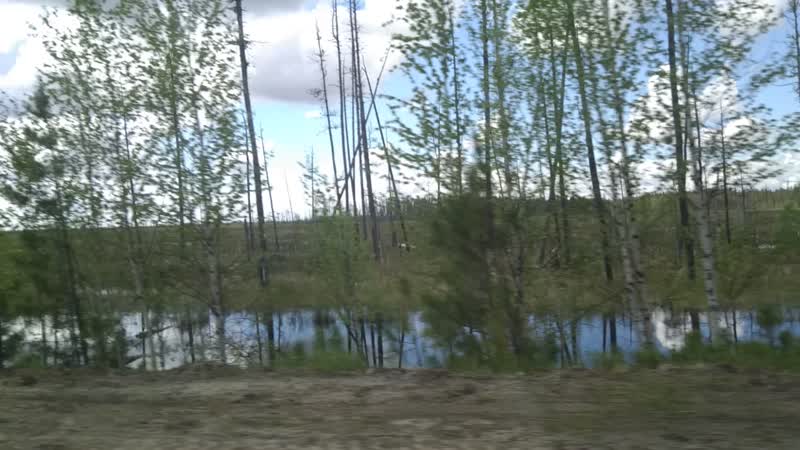 самая ебливая дорога в мире