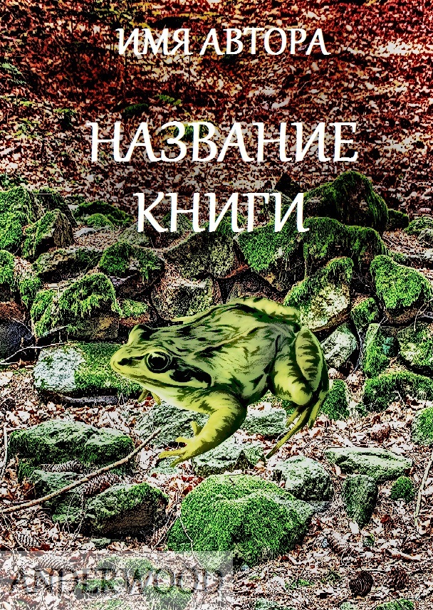 OE0Ttiu-4CE.jpg