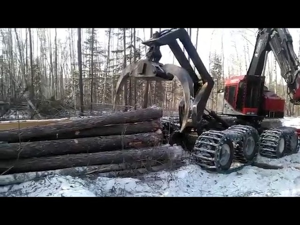 Combi TimberPro