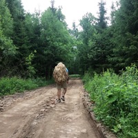 Владислав Герасимов