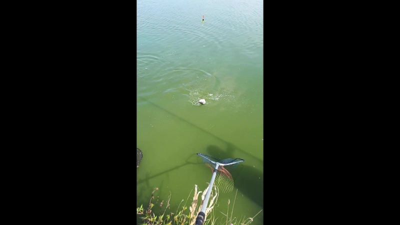20180821_113830.mp4