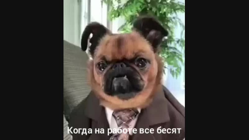 YouCut_20181208_224427049.mp4