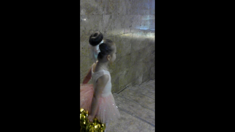 закулисье 2016г