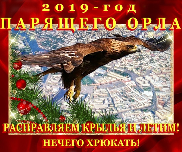 Фото: Приближается Новый 2019, год по славянскому календарю это Новое 7527 лето. Символом года по восточному календарю является Земляной Кабан (у японцев) или Жёлтая (Золотая) Земляная Свинья (у китайцев). Тотемом года по славянскому календарю признан Парящий Орёл. Какой зверь вам ближе, тому и поклоняйтесь! Всё на ваш вкус! Год по китайскому календарю, наступает 5 февраля, новое Лето у славян придёт 21 марта. <br> <br>Почему стали прислушиваться к китайскому календарю, встречать Новый год в восточных традициях, не задумывались Причину назвать трудно, скорее всего в силу того, что своего русского исконно-славянского календаря не сохранили, традиции утратили, а таинственности и веселья хочется…. А между тем древнеславянский календарь-годослов (летослов) гораздо древнее восточного. Ему более семи с половиной тысяч лет. <br> <br>Древние славяне год называли «лето». Они поклонялись своим языческим богам, наделяя каждого магическими силами, наблюдая и увязывая всё это с живой природой. Вся жизнь их была неразрывно связанная с природой и верой в своих богов, у которых они искали защиты и поддержки. <br> <br>Новый год у славян приходился на 20-21 марта — День весеннего равноденствия. С 1492 года народы Руси стали праздновать его в сентябре. Петр I своим законом, разом перескочив с сентября 7208 года на 1 января 1700 года, ввёл новое летоисчисление по Юлианскому календарю. Таким образом, как минимум, на 5508 лет наша народность помолодела. А сейчас мы празднуем Новый год со всем миром по Григорианскому календарю в современном летоисчислении от Рождества Христова. <br> <br>Цикл в старославянском календаре равен не 12 годам, как у восточного, а 16 летам. Каждый тотем наделён характером своего зверя. <br> <br>Тотемом лета 7527 или 2019 года признан Парящий Орёл. Кстати, уходящий 2018 год проходит под тотемом Свернувшегося Ежа. 2017 был Крадущегося Лиса. <br> <br>Парящий Орел является воплощением мудрости, свободы и удачи. Древние славяне считали, что год, которому покровительствует Парящий Орел, является очень важным жизненным этапом для каждого человека. Они старались извлечь из этого года максимум опыта.