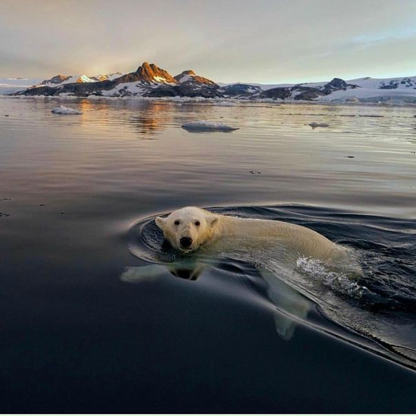 Svalbard 