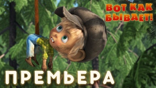 Маша и Медведь • Серия 74 - Вот как бывает!