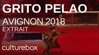 Festival d'Avignon 2018 – Grito Pelao – Rocio Molina - (extrait)