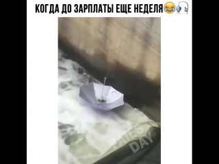 Когда до заплаты еще не скоро, а жрать уже нечего