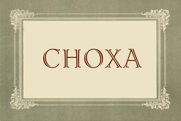 почему у термина «сноха» неоднозначное происхождение. ⠀ сноха — жена сына по отношению к отцу. ⠀ 1 версия: слово «сноха» происходит от глагола «сносить», так как под снохой понимается жена с