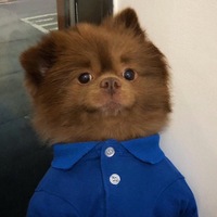 Артур Воронежский