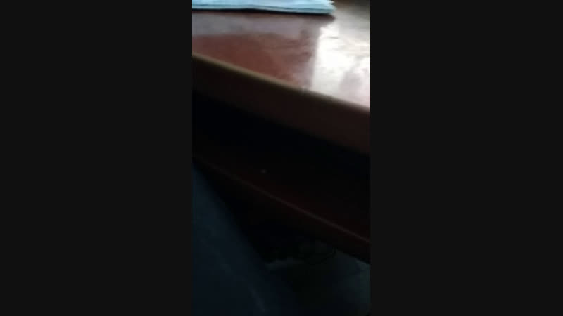 Ебака с плонеты хуйня