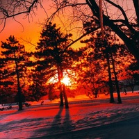 Дина Давлетшина | 