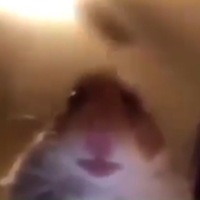 Мария Остапенко | 