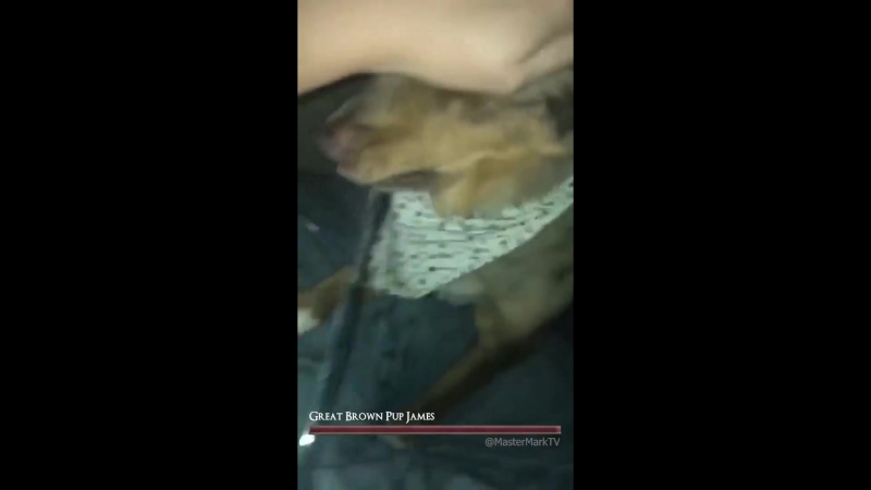 Bork souls