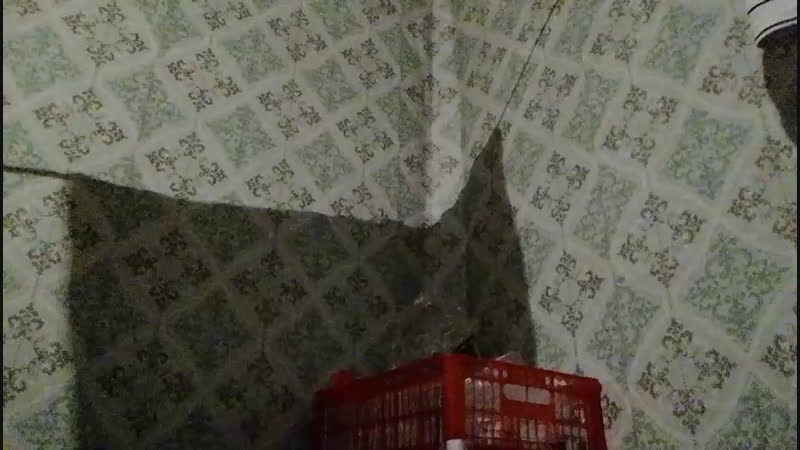 заходи бро